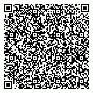 vCard 79104042010