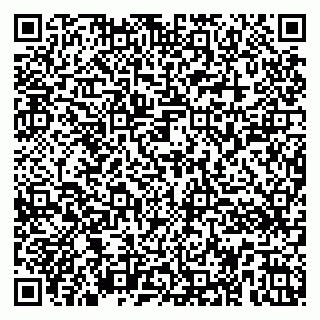 vCard 79104043333