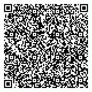 vCard 79104044037