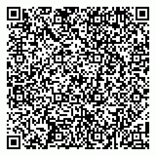 vCard 79104044539