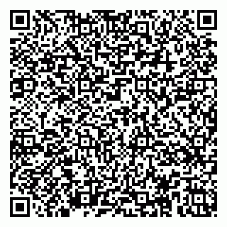 vCard 79104045313