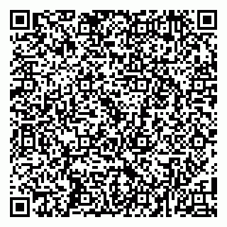 vCard 79104050239