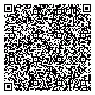 vCard 79104050329