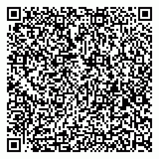 vCard 79104050331