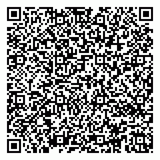 vCard 79104052001