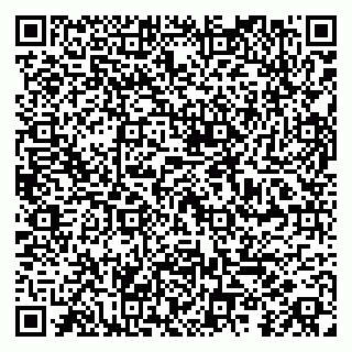 vCard 79104052005