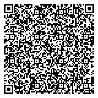 vCard 79104053333