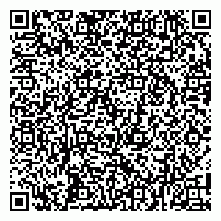 vCard 79104053935