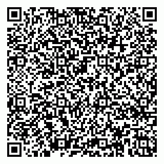 vCard 79104058413