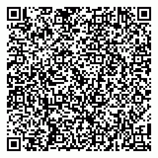 vCard 79104059413