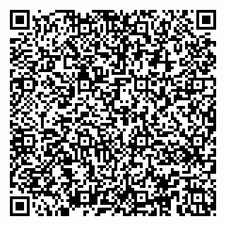 vCard 79104061303