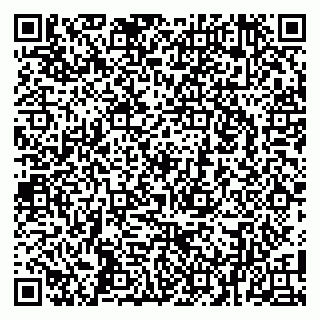 vCard 79104065321