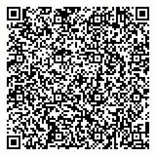 vCard 79104065633