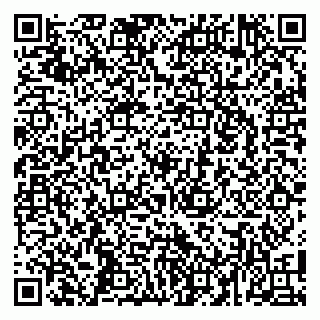 vCard 79104068633