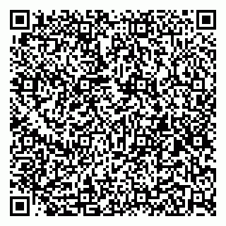 vCard 79104070331