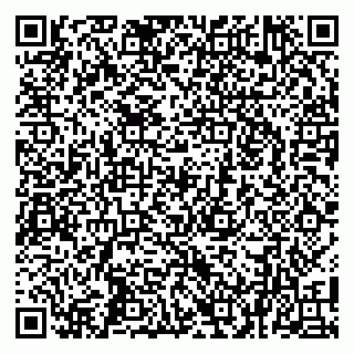 vCard 79104072063