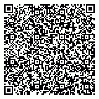 vCard 79104073333