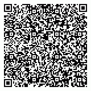 vCard 79104074403