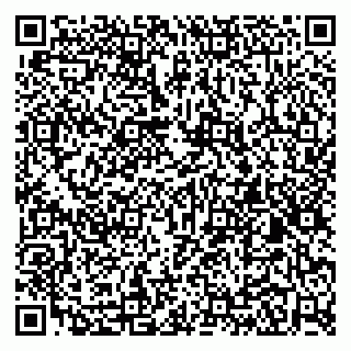 vCard 79104075232