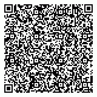 vCard 79104075313