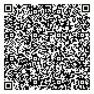 vCard 79104075335