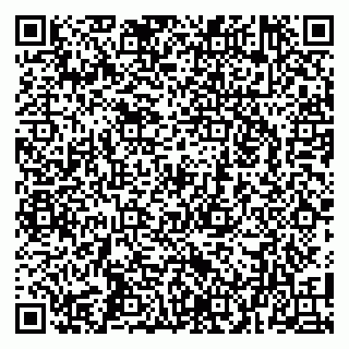 vCard 79104077303
