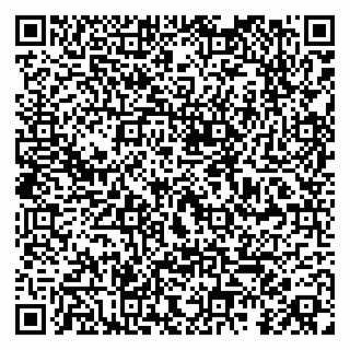vCard 79104078303