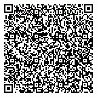 vCard 79104079079