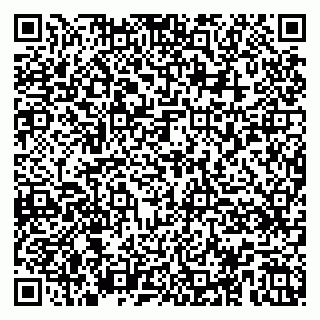 vCard 79104079335