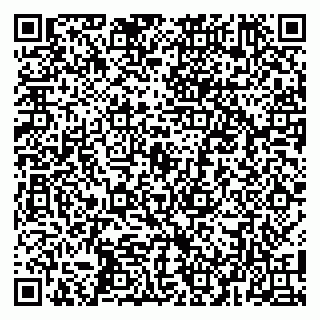 vCard 79104082002