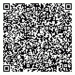 vCard 79104085201