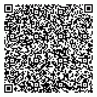 vCard 79104086303