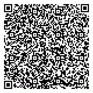 vCard 79104086331