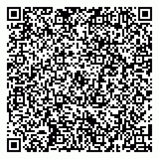 vCard 79104087294