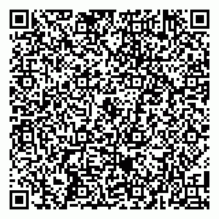 vCard 79104087403