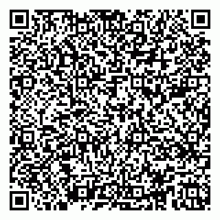vCard 79104089009