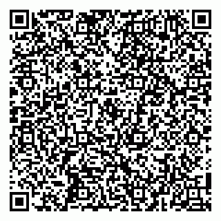 vCard 79104089704