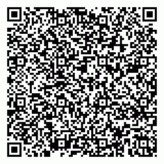 vCard 79104089730