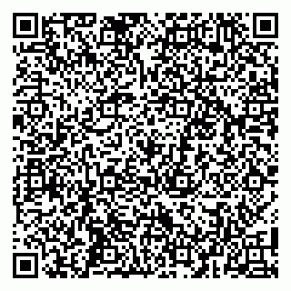 vCard 79104099005