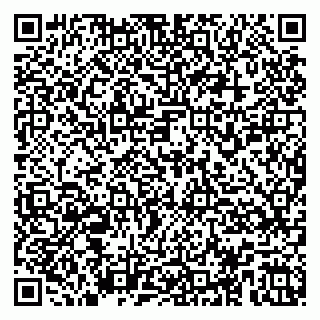 vCard 79104955331