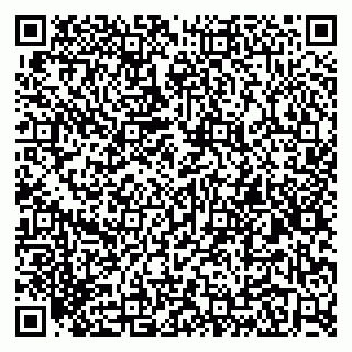 vCard 79104960331