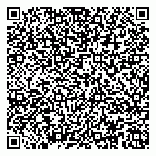 vCard 79104967005