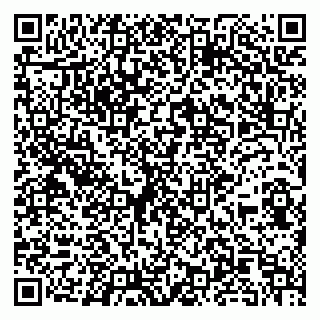 vCard 79104967413