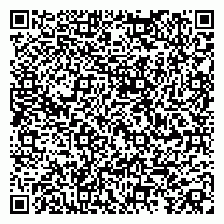 vCard 79104968879