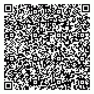 vCard 79104969005