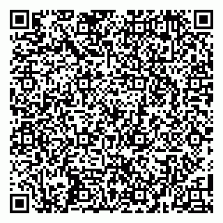 vCard 79104970399