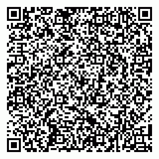 vCard 79104972935