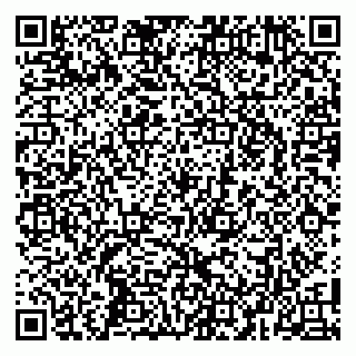 vCard 79104973701