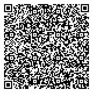 vCard 79104973705