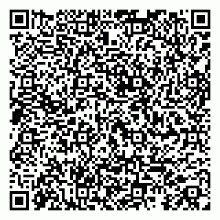 vCard 79104973809